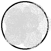 Ditto C snowball.png (9 KB) Ditto C snowball