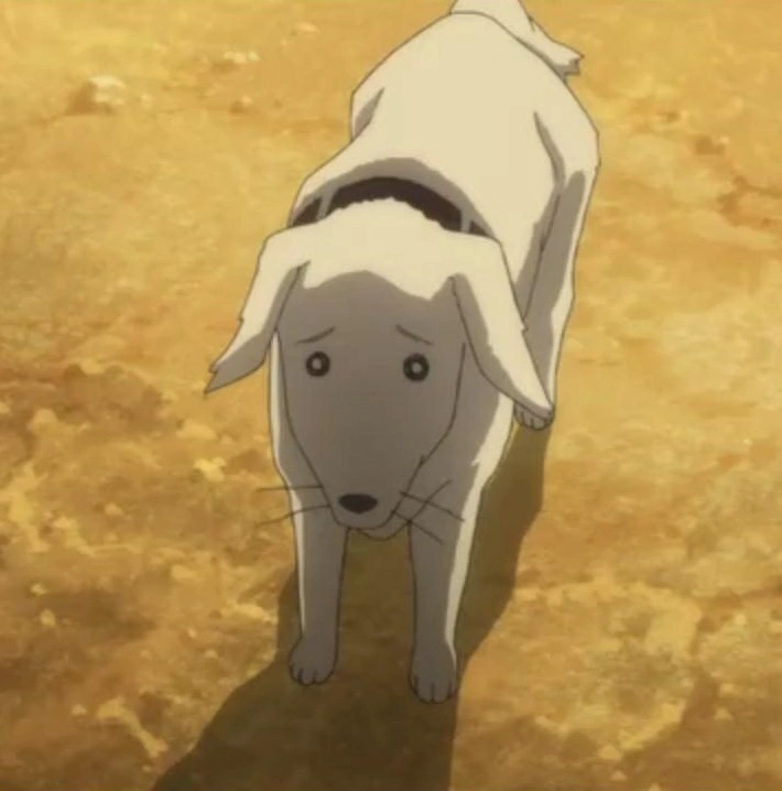 Archivo:Perro anime.png | Wiki Codebreaker | Fandom powered by Wikia