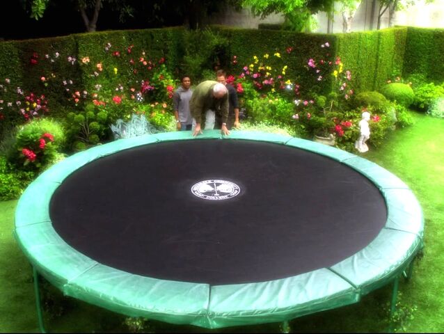 File:Trampoline.jpg