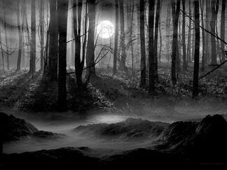 Aquella-noche-en-el-bosque
