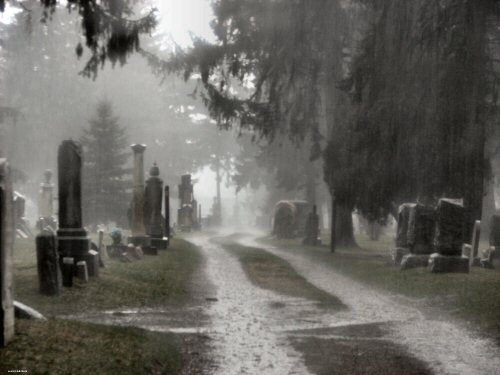 s day in the cemetery the cemetery s solemnity creepypasta wiki fandom s day in the cemetery the cemetery s solemnity creepypasta wiki fandom