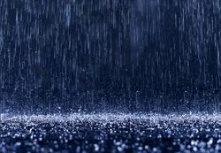 Night-Rain