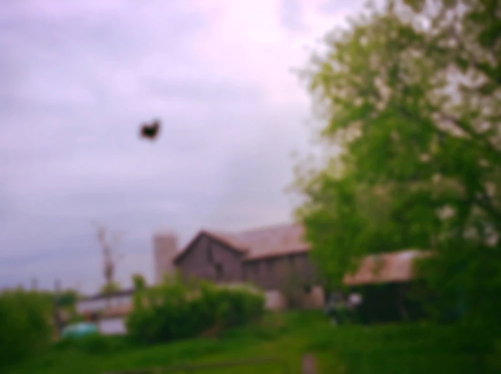 Angel of Malevolence