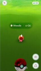 Pokemon-radar-catch.jpeg