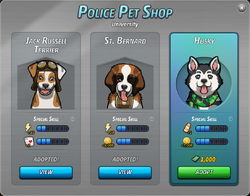 GrimsPetShop4