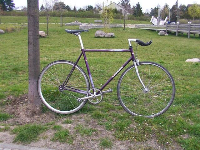 File:Belgisches Diamant - Fixed Gear.jpg