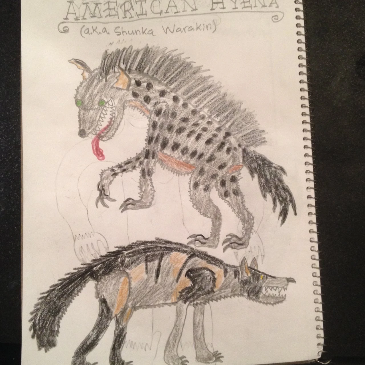 American Hyena | Cryptid Wiki | FANDOM powered by Wikia
