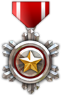 CSO Medal