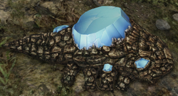 crystal lizard light