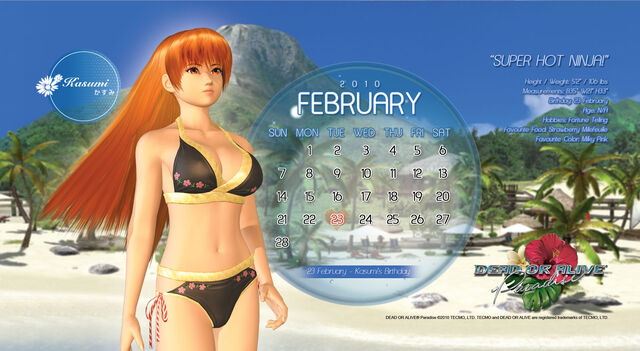 File:DOAP Calendar Feb.jpg
