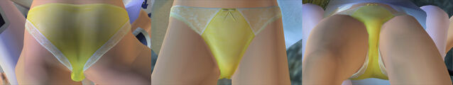 File:DOAUKasumiPantiesCos14d.jpg