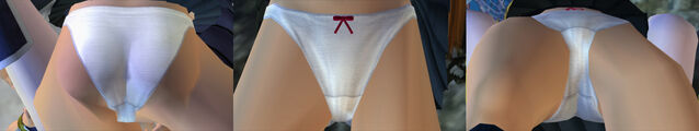 File:DOAUKasumiPantiesCos5a.jpg
