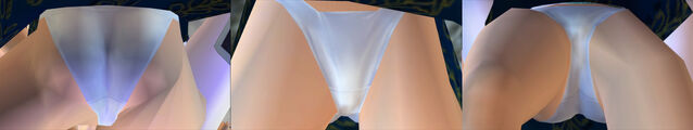 File:DOAULeiFangPantiesCos2b.jpg