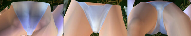 File:DOAULeiFangPantiesCos1b.jpg