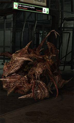 File:Brute DS1.jpg