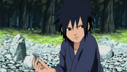 Madara Kind.png