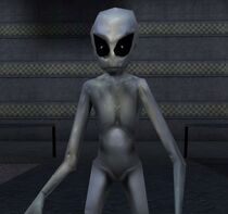 Gray area51