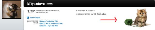 Datei:ScreenshotBildaufProfil.png