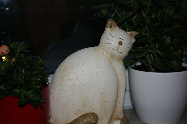 Datei:2009-10-katzendeko-2.jpg