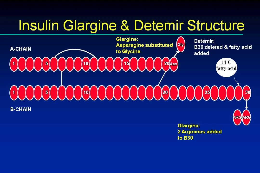 Levemir Canine Diabetes Wiki Fandom powered by Wikia