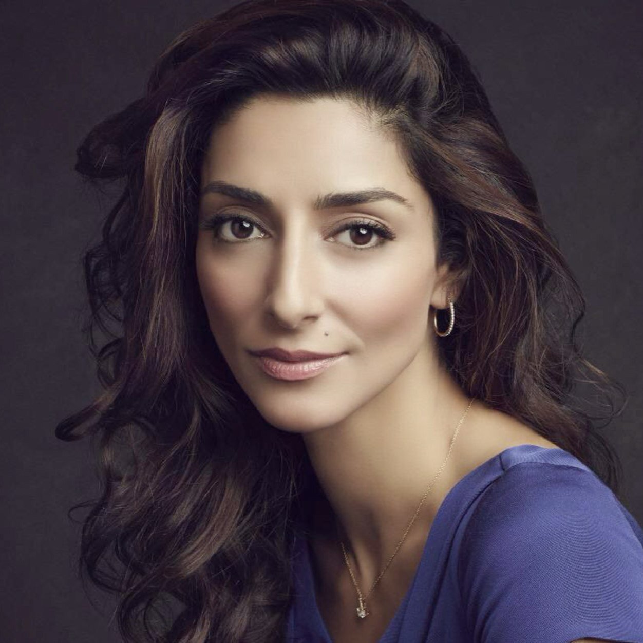 Necar Zadegan Necar Zadegan