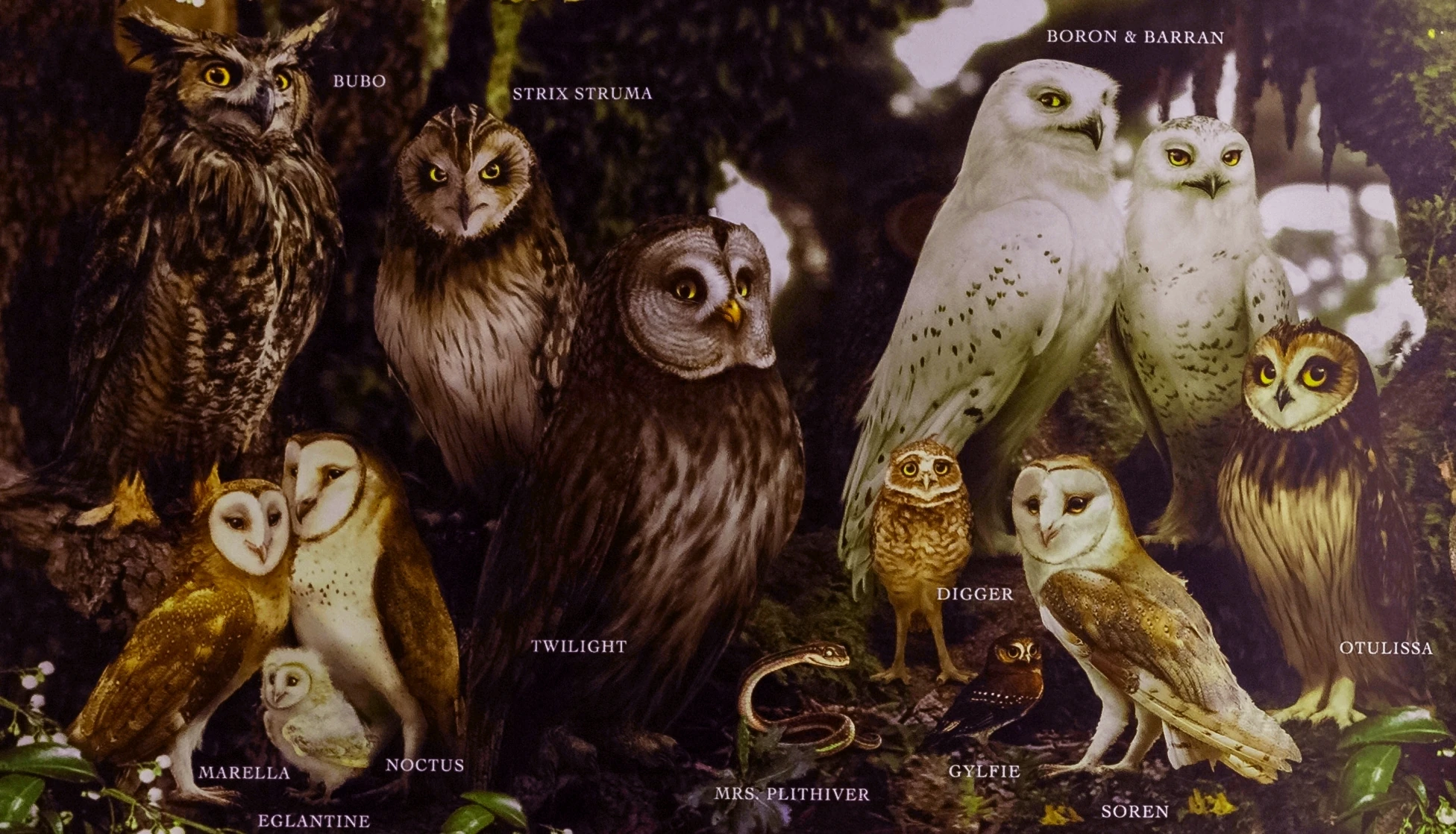 Legende Der Wächter