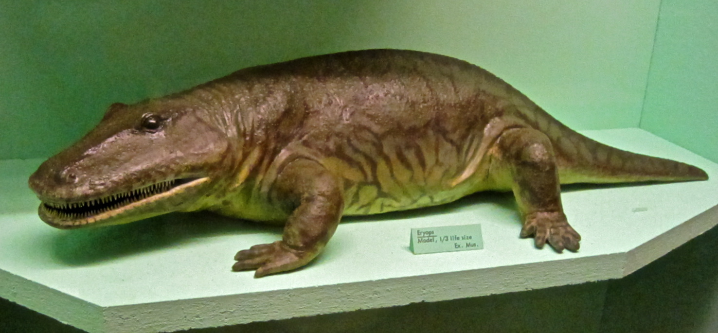 Eryops Dinosaur Alive Wiki Fandom powered by Wikia
