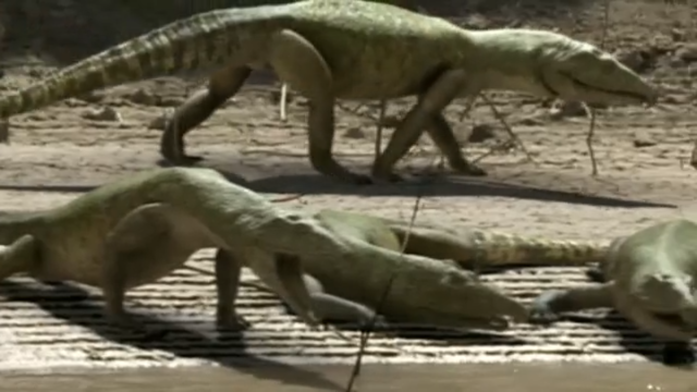 Proterosuchus | Dinosaur Alive Wiki | FANDOM powered by Wikia