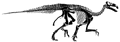 iguanodon skeleton