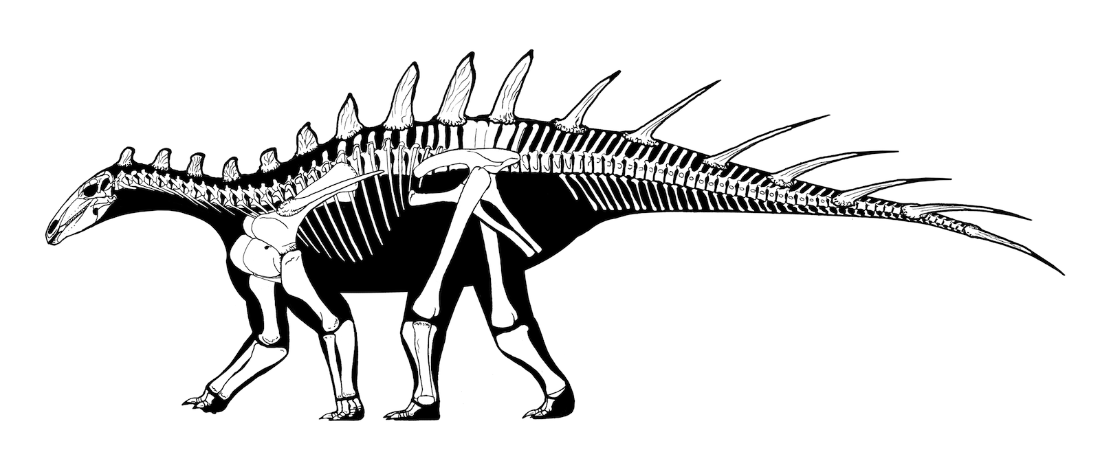 Resultado de imagen de dacentrurus