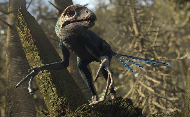 Planet Dinosaur | Dinopedia | Fandom powered by Wikia