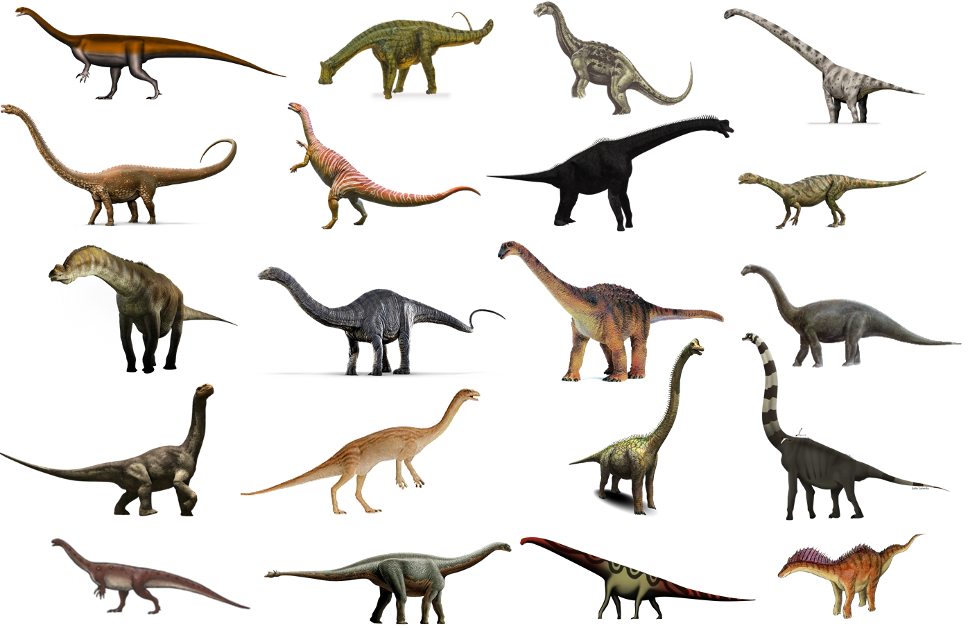 Sauropodomorpha Dinopedia FANDOM powered by Wikia
