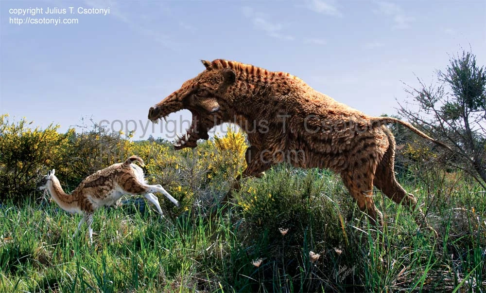 Archaeotherium | Dinopedia | Fandom powered by Wikia