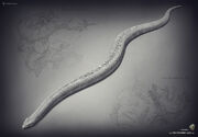 Titanoboa the stomping land 02 by swordlord3d-d7kug4v