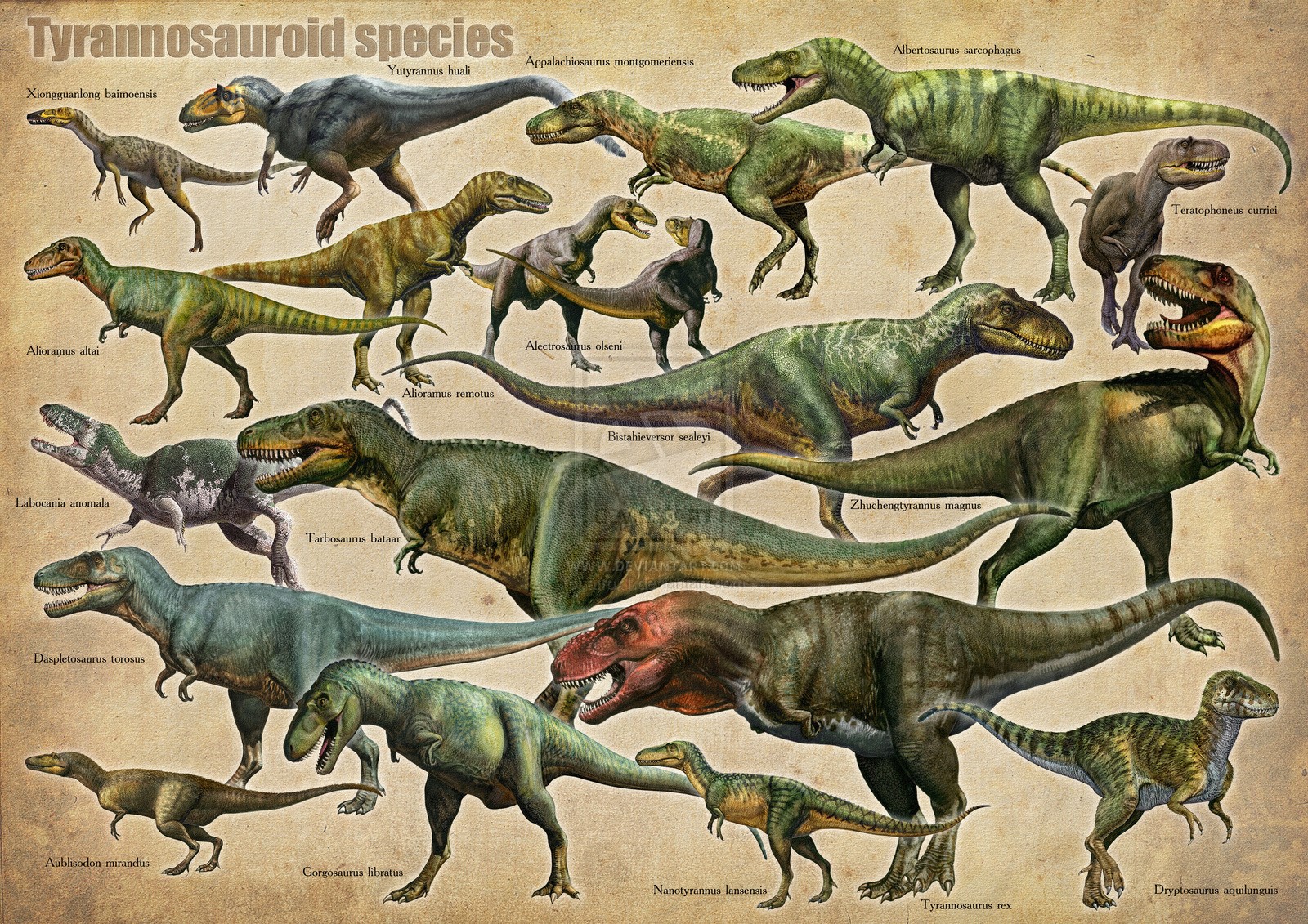dinosaurs like the t rex