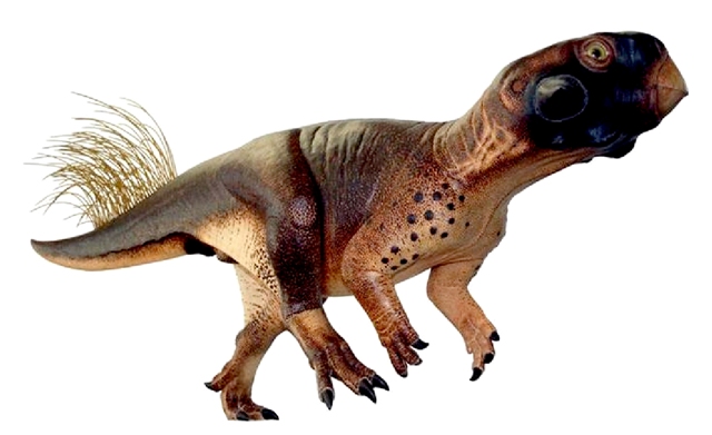safari ltd psittacosaurus