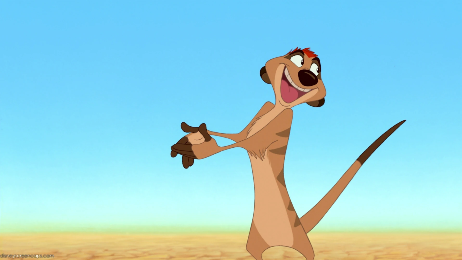 Image - Timon-(The Lion King).jpg | Disney Wiki | Fandom powered by Wikia