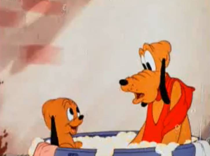 Pluto Junior (character) | Disney Wiki | Fandom powered by Wikia