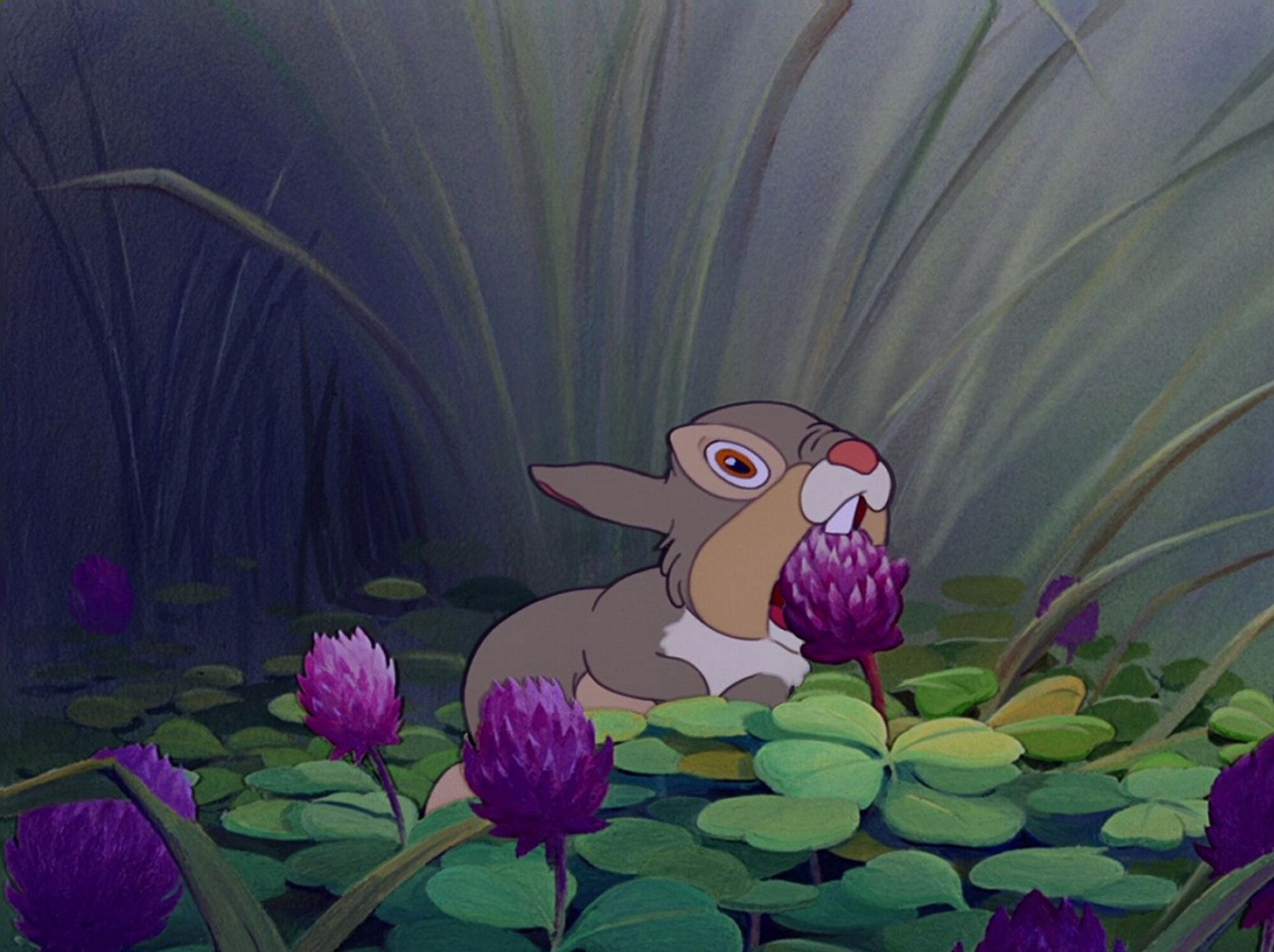 Uncategorized Pictures Of Thumper thumpergallery disney wiki fandom powered by wikia thumper about to eat blossom