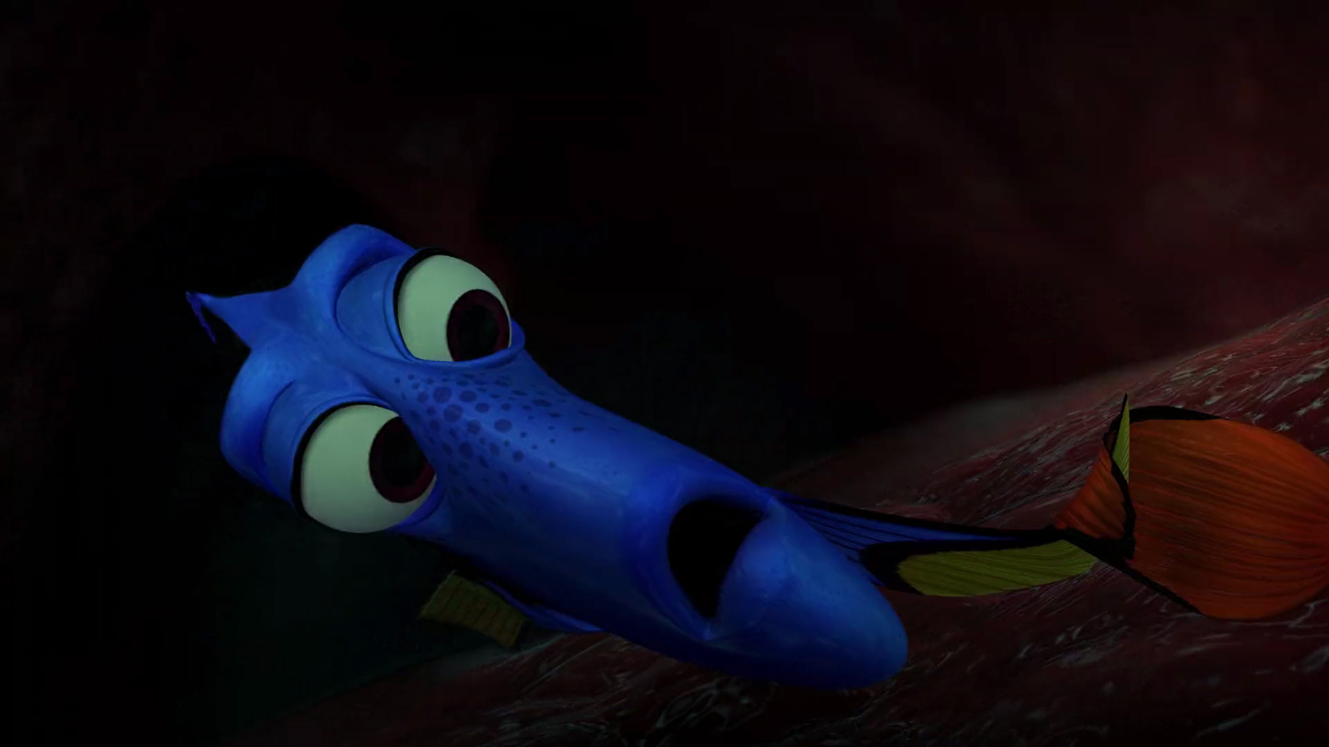 finding nemo whale toy