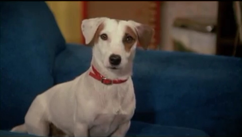 Rimshot Disney Wiki Fandom powered by Wikia