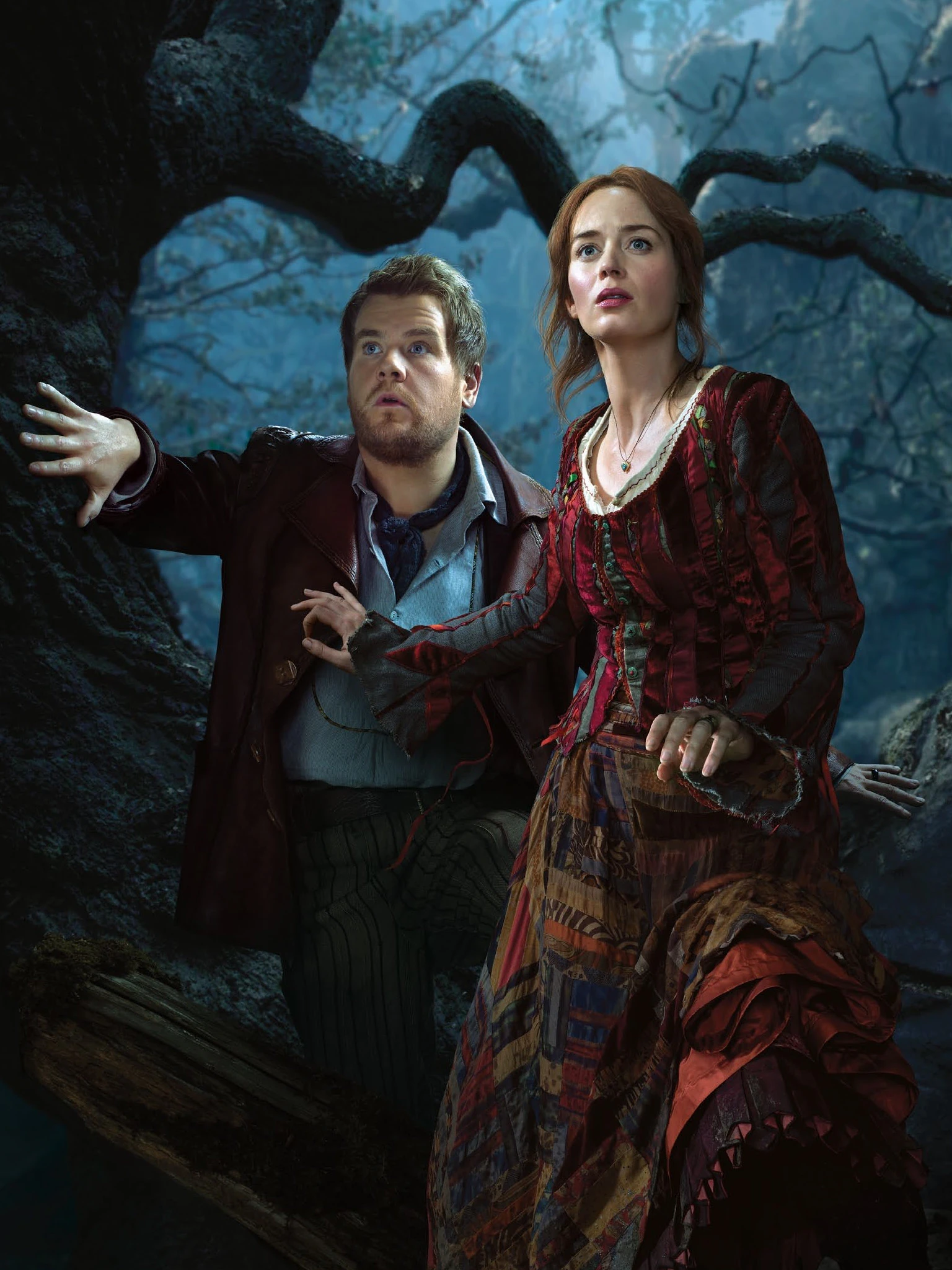 Image result for into the woods baker