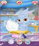 Berry - Palace Pets Wiki