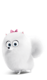 Gidget Secret Life Of Pets Gidget Dog Stories Wikia Fandom powered by Wikia