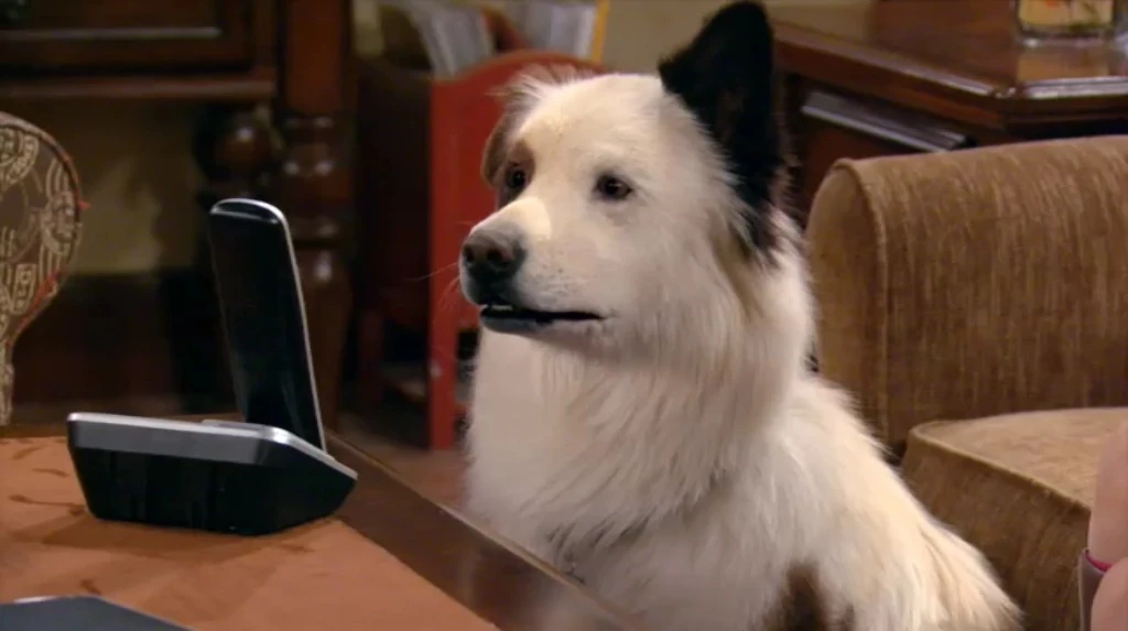 Kayla Maisonet desktop Wallpapers