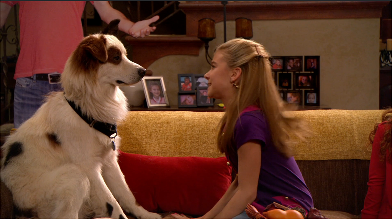 Dog Loses Girl | Dog With A Blog Wiki | Fandom powered by Wikia