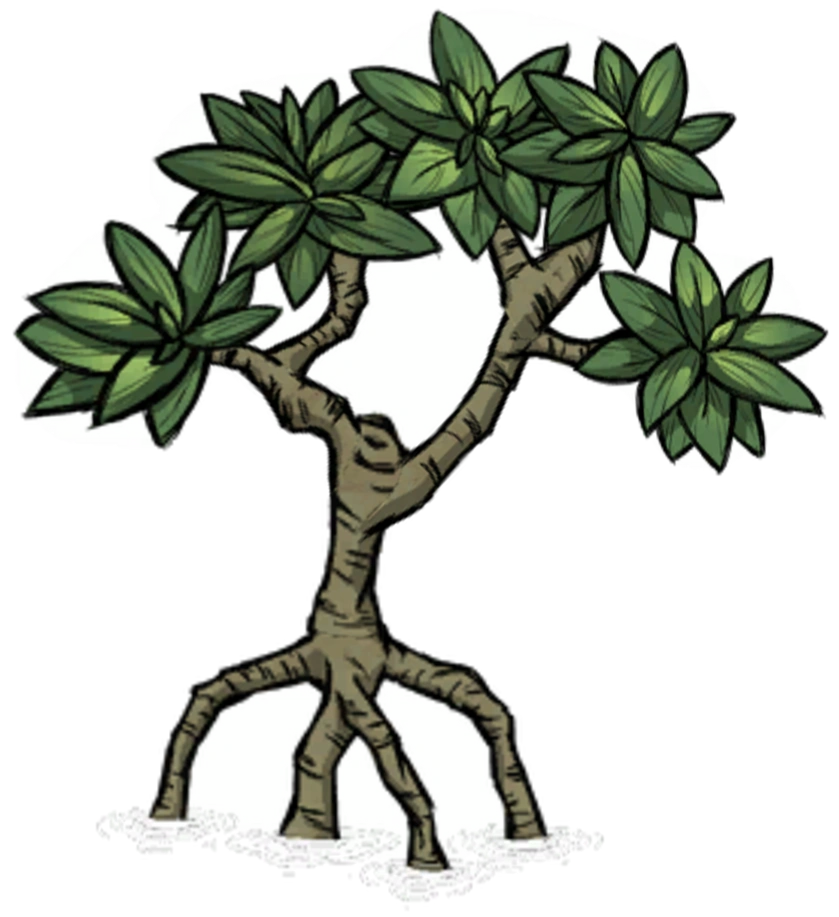 Tree/Mangrove Tree Don't Starve game Wiki FANDOM powered by Wikia