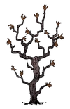 Diseased Twiggy Tree