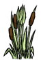 Reeds.png
