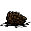 Pine Cone.png
